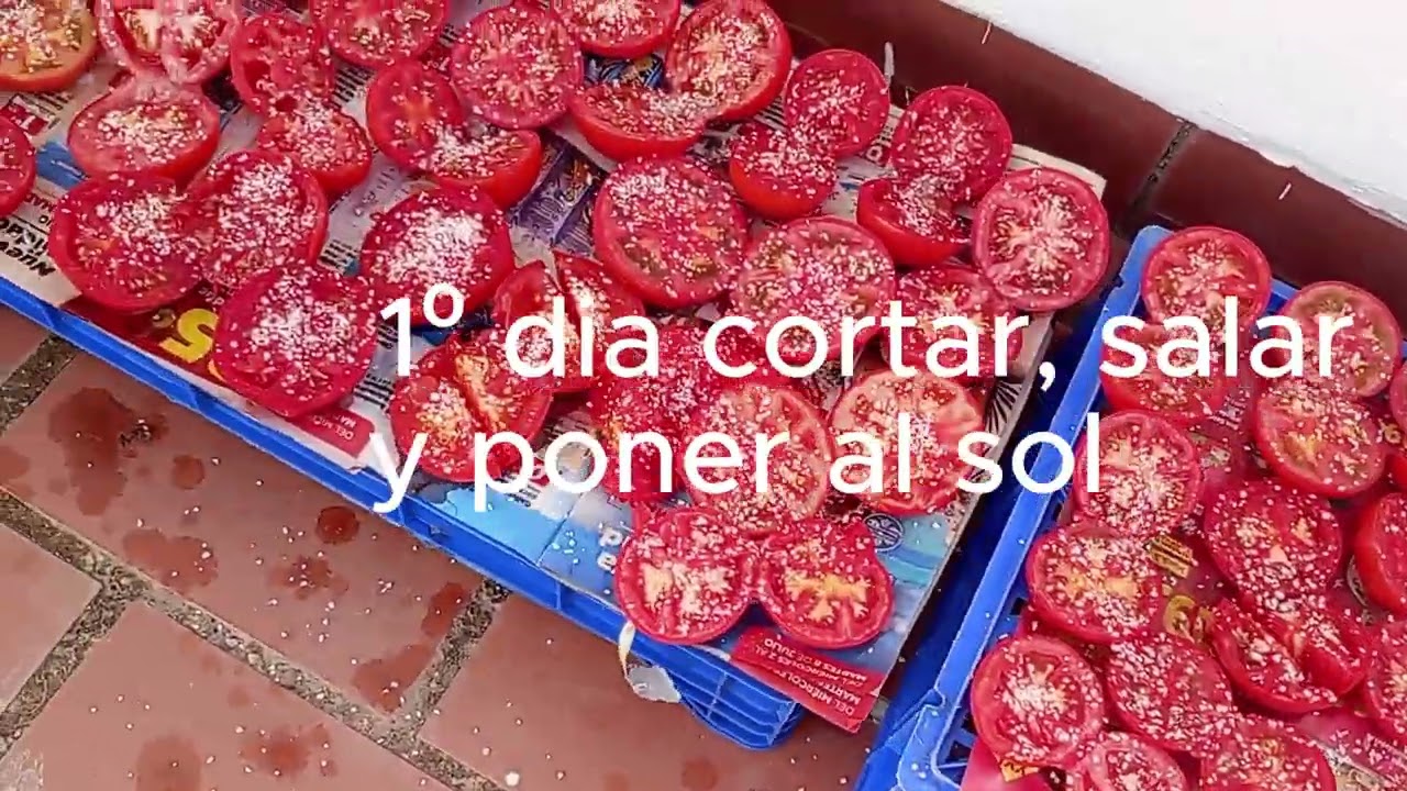 2025 Pasera de tomates secos