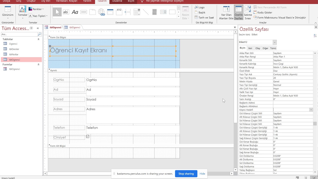 Ms Access Veri Tabanı - Formlar, Raporlar ve Sorgular
