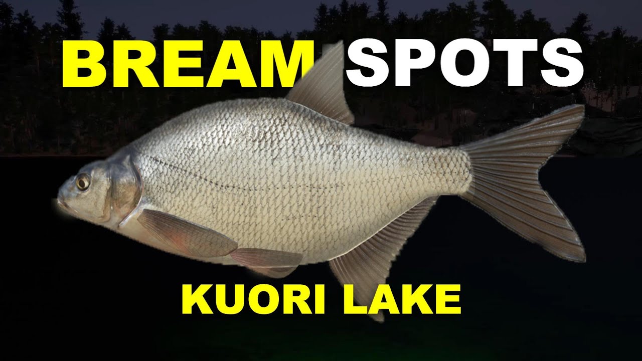 Russian Fishing 4 BREAM SPOTS Kuori Lake