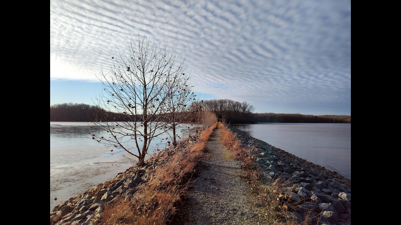 Land Between the Lakes -- Honker Lake Trail 1/18/2026