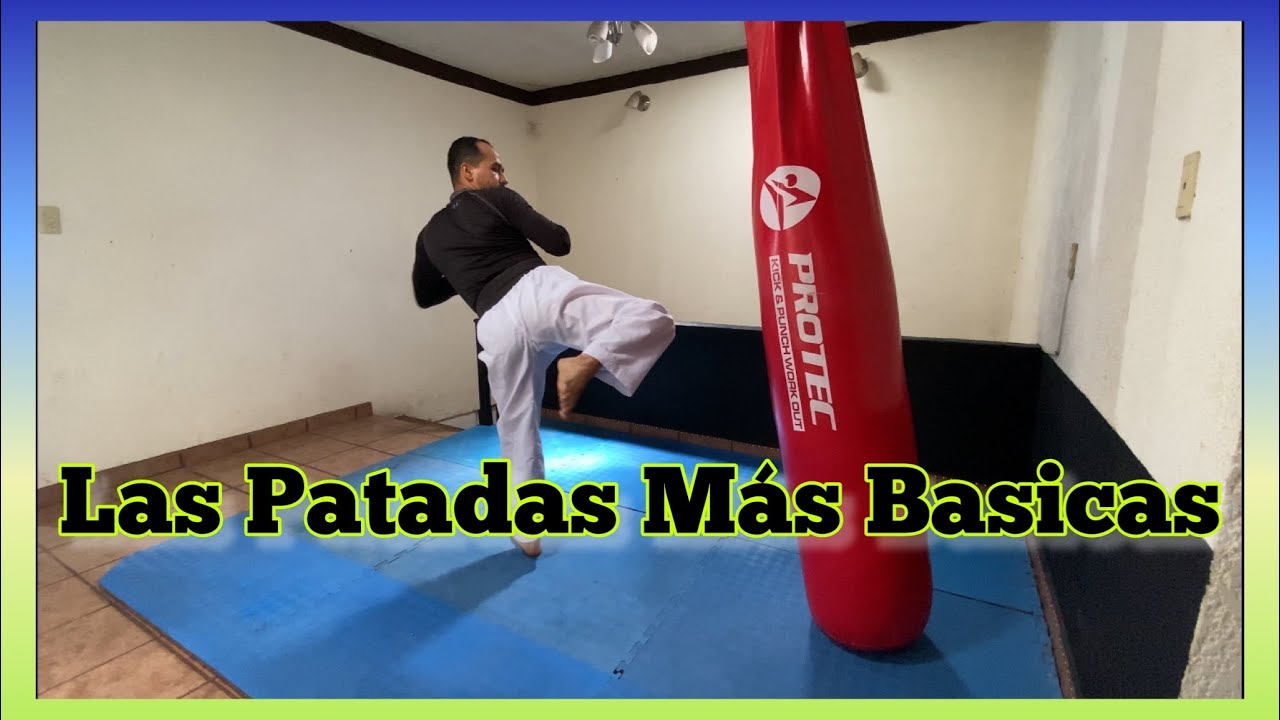 5 Patadas Básicas De Taekwondo 🥋
