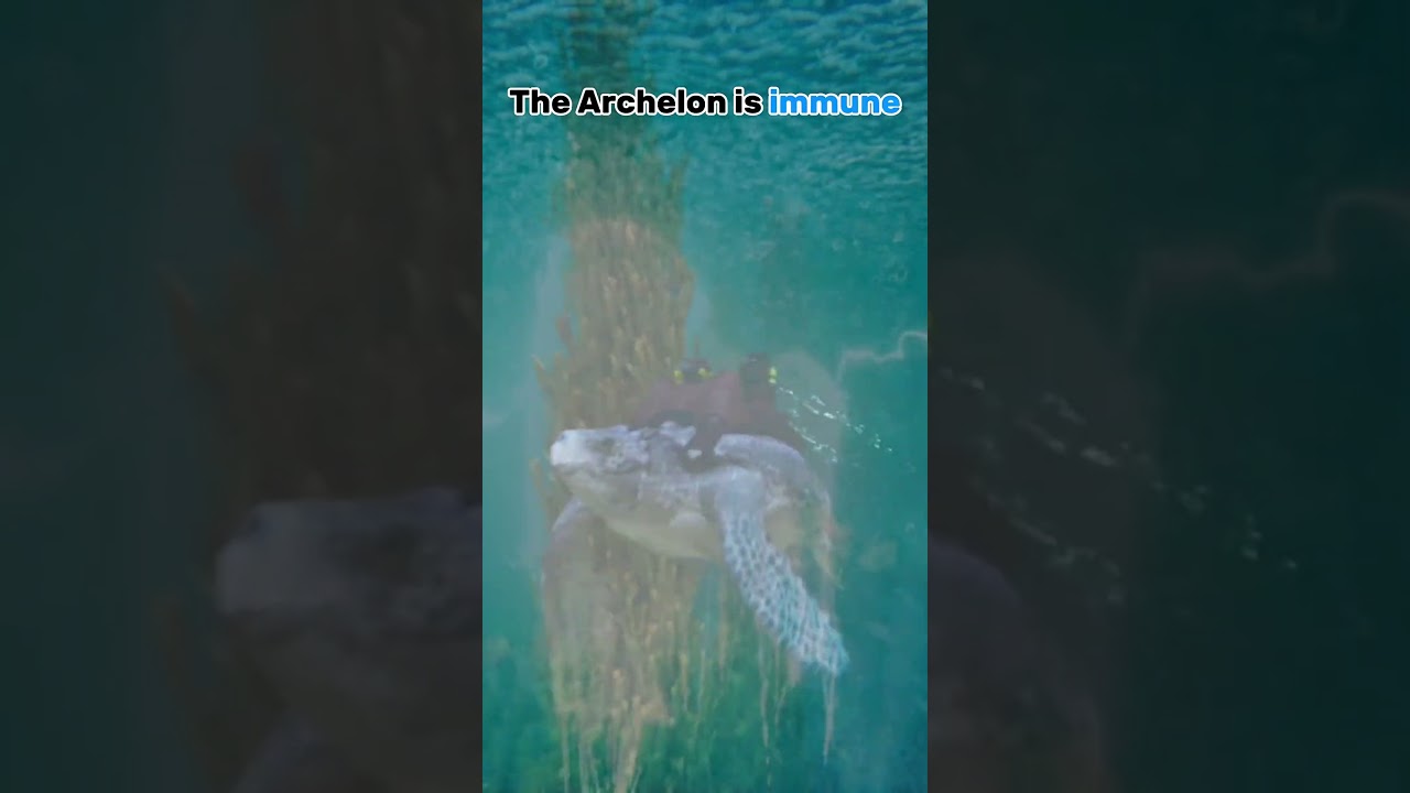 3 THINGS about the Archelon in ARK : Survival Ascended !!!