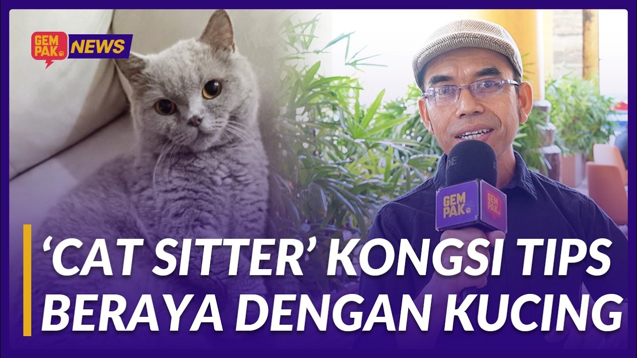 Kucing Nak Tinggal Dekat Mana? Raya Dah Dekat Ni!  | Gempak News