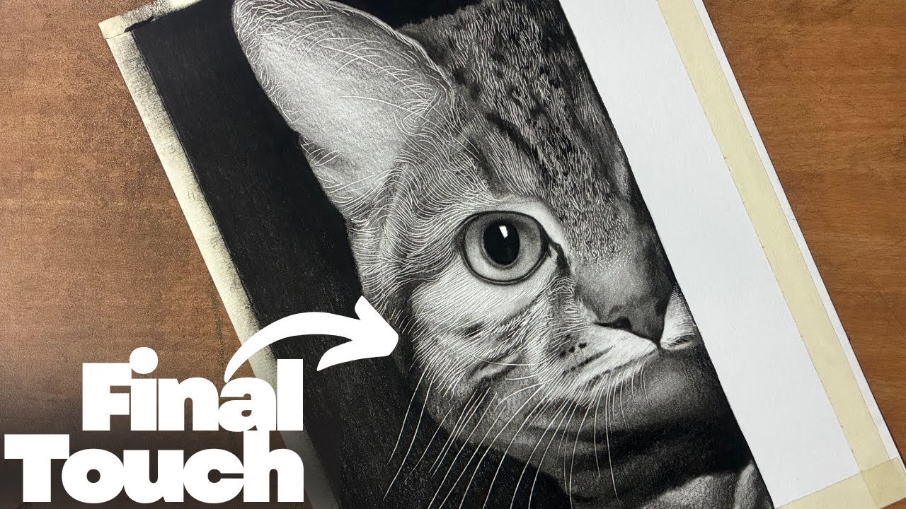 Cat Drawing- Final Touch | Charcoal Drawing | @DeepkaranStudio95 