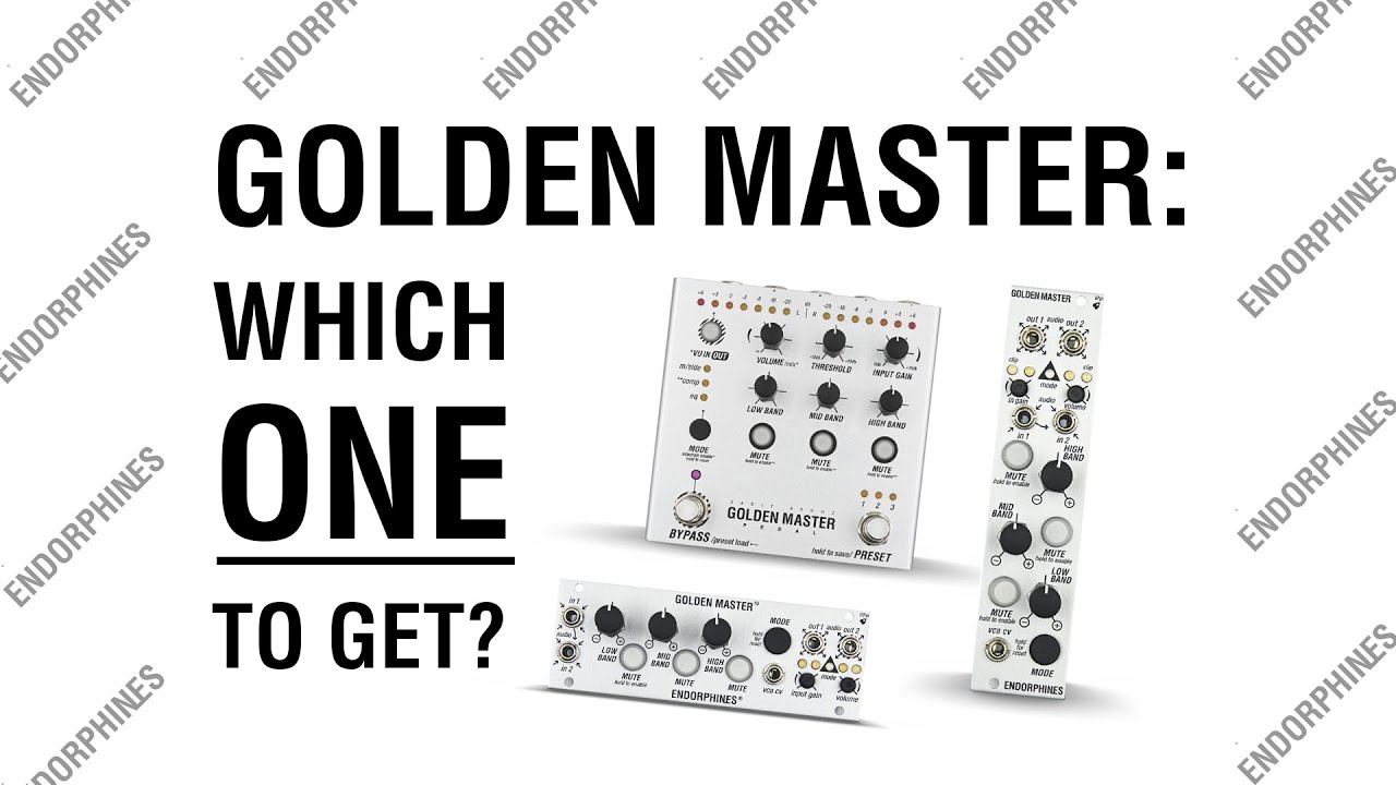 ЗОЛОТОЙ МАСТЕР: форматы EURORACK против PEDAL
