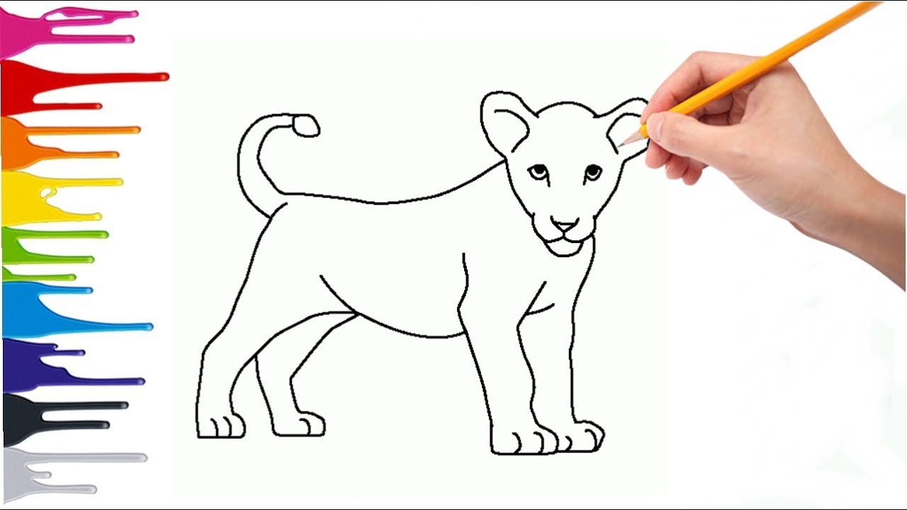 DESENHANDO UM LEÃO FILHOTE COMPLETO