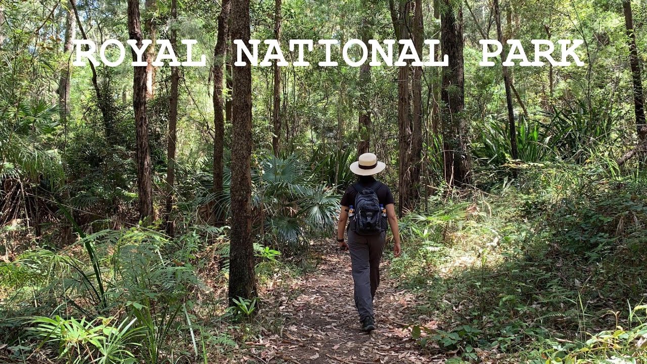 Easy short walks in Royal National Park - Winifred Falls & Forest Path