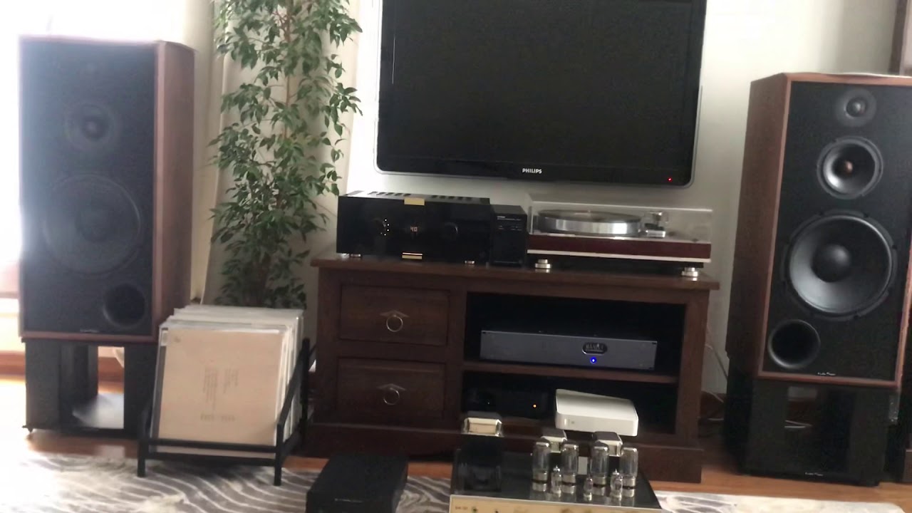 Audiophase Opium + Circle Labs A200 + Lumin D2, Dominique Filis-Aime Birds