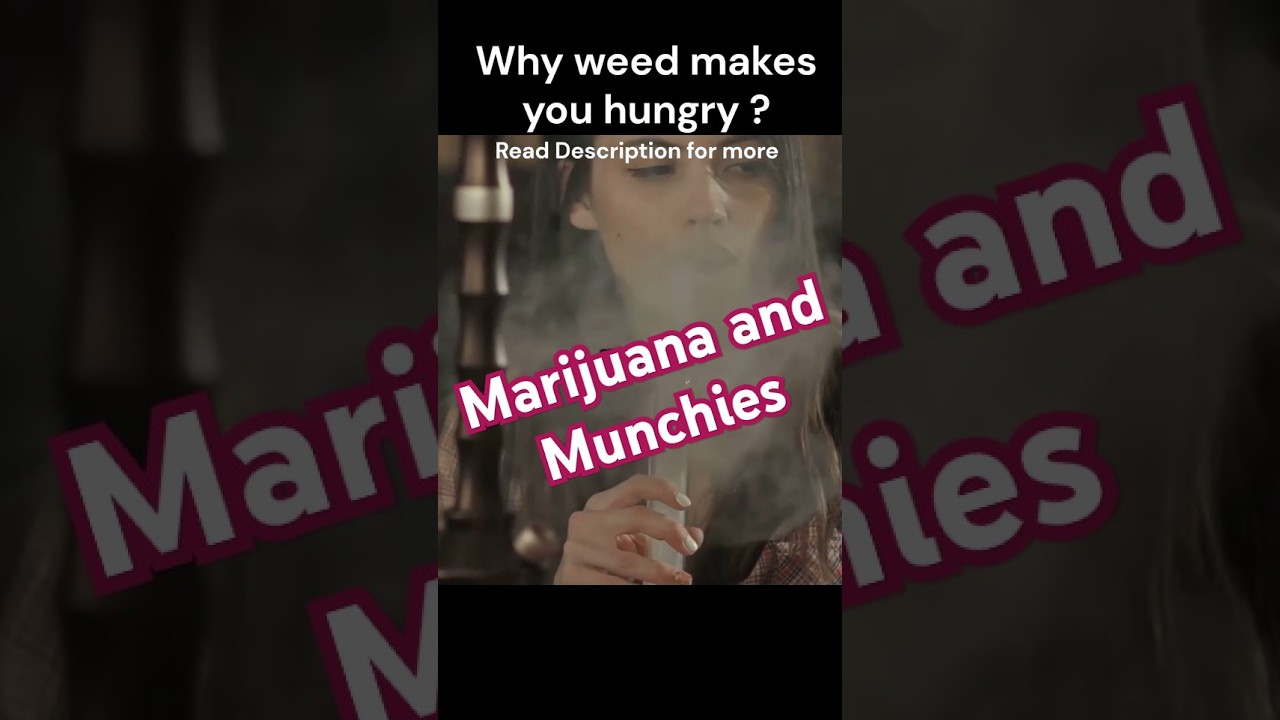 Why weed makes you hungry ? #high #science #knowledge #baked #munchies #thc #cannabiseducation