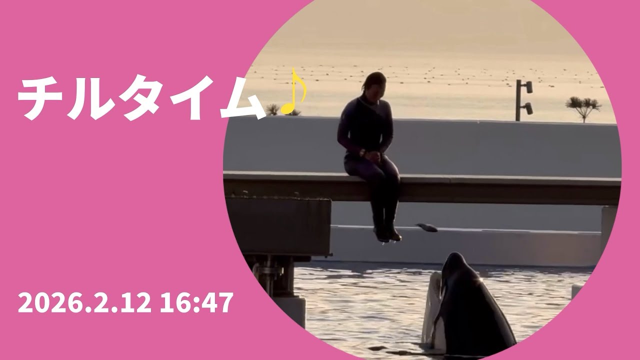 チルタイム♪ 2026.2.12 16:47