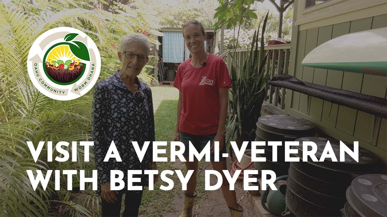 Visit a Vermi-Veteran With Betsy Dyer - Oʻahu Community Worm Ohana