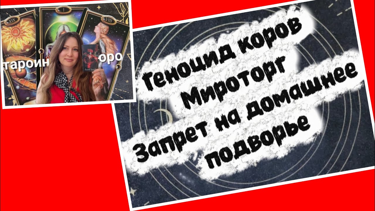 ГЕНОЦИД СКОТА В СИБИРИ-ЗАКАЗ ОТ МИРАТОРГА. ЗАПРЕТ ФЕРМЕРСТВА ТАРО РАСКЛАД 