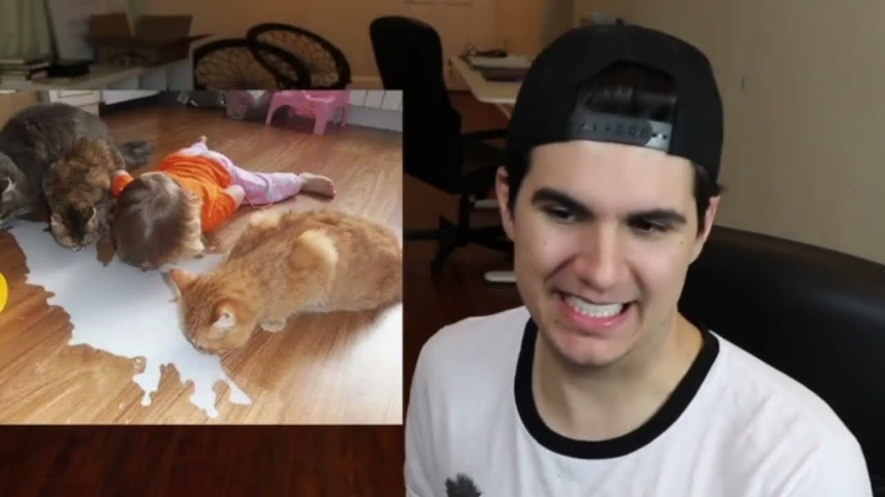 REASONS WHY YOU SHOULDN'T LEAVE YOUR PETS WITH KIDS!