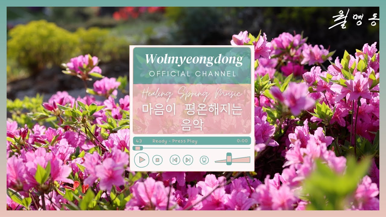 마음이 평온해지는 음악 월명동 봄 🎼 Wolmyeongdong Healing Spring Music 1