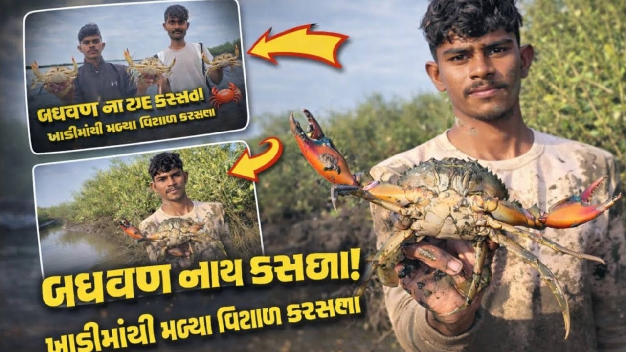 કરસલા પકડવામા મોબાઇલ પાણીમા પડી ગયો 🦀