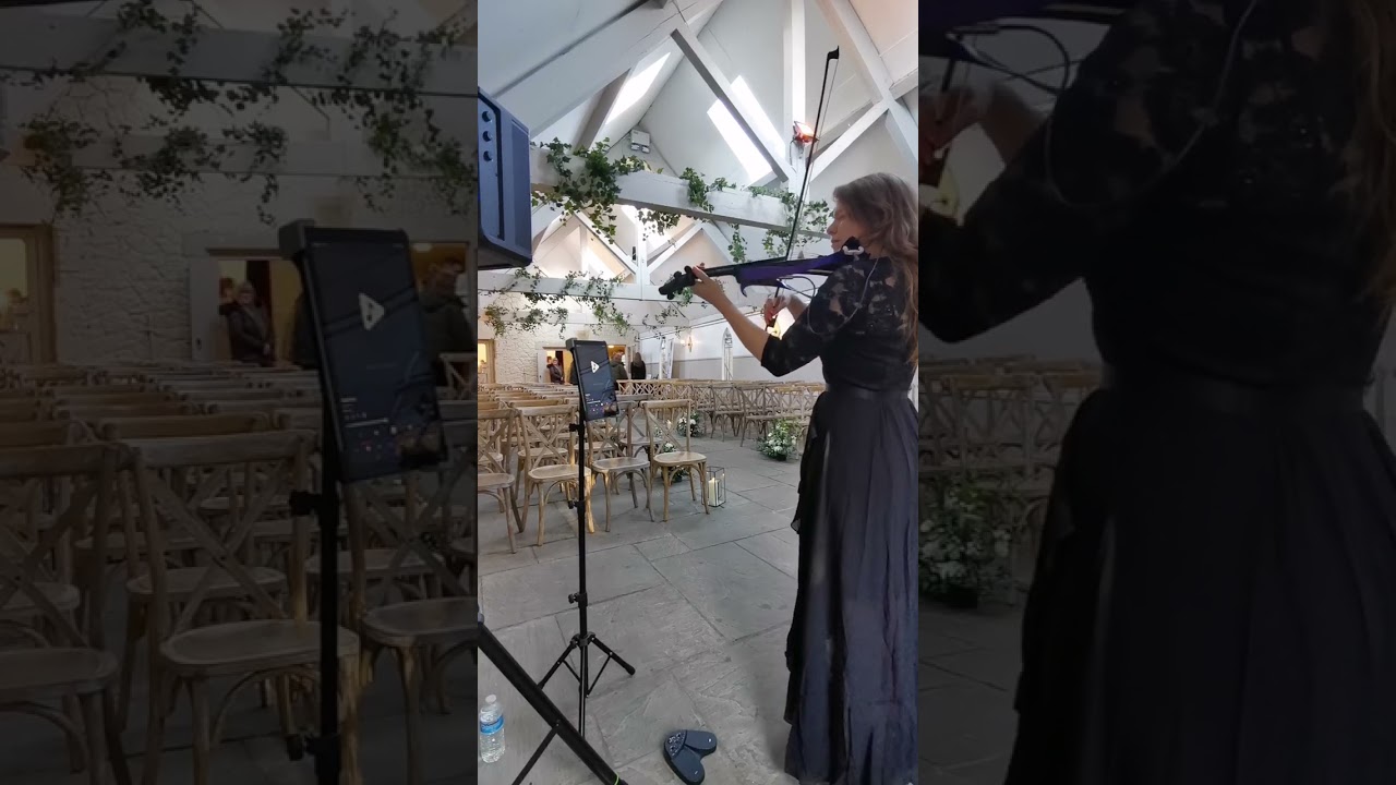 Bridal Chorus (Here Comes The Bride) - gentle violin cover for wedding