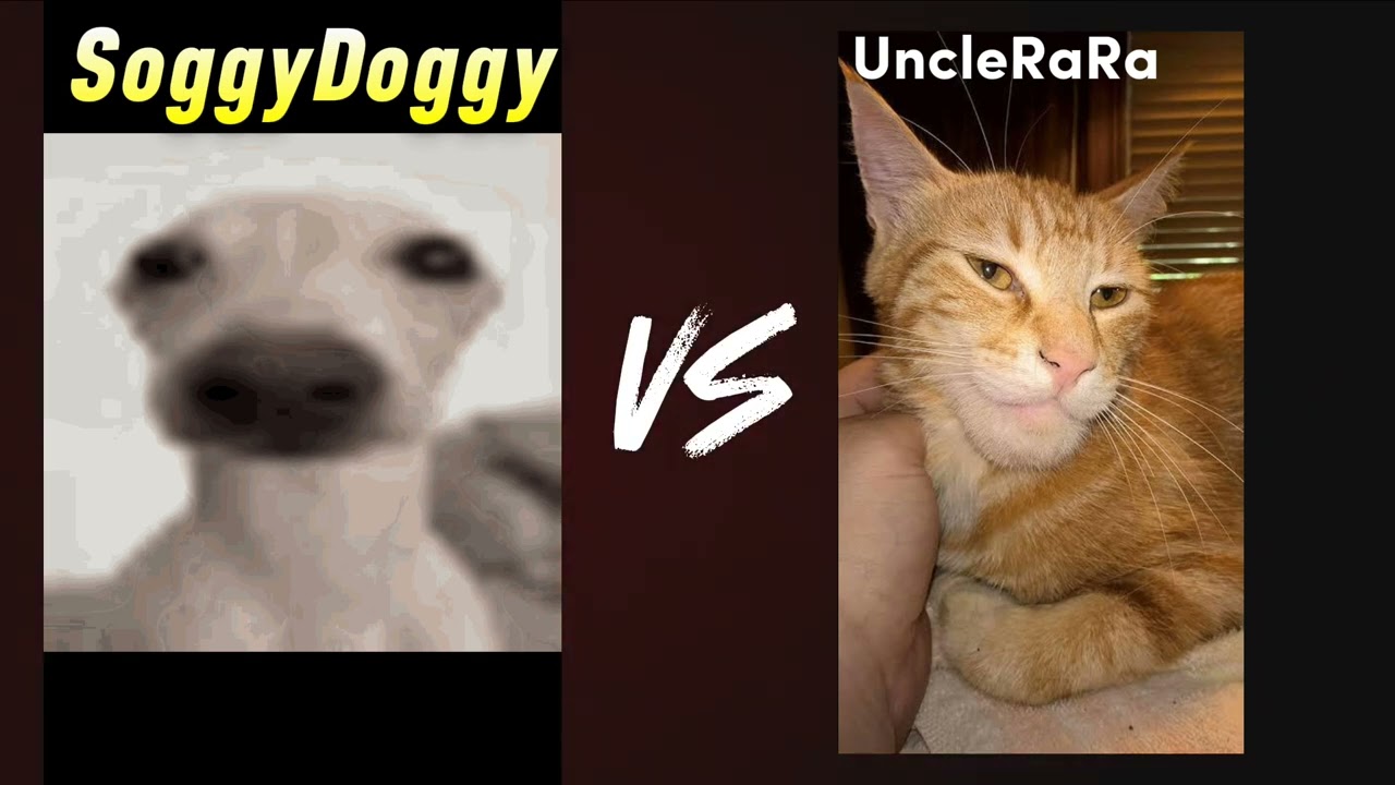 SoggyDoggy VS UncleRaRa