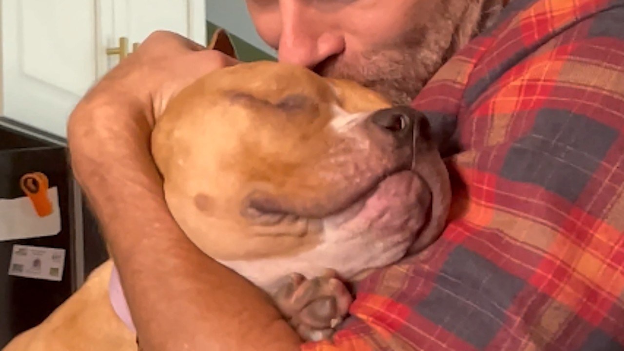 Blind rescue dog has sweetest reaction every time her favorite human says 'I love you'