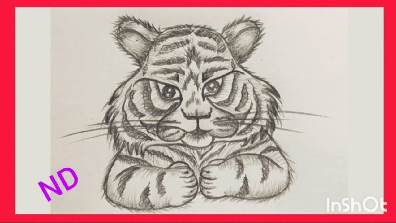 How to draw a tiger?                 چطور ببر بکشیم؟