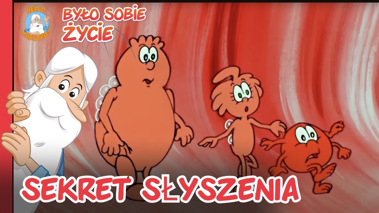 Jak działa ucho anatomia słuchu i transmisja dźwięku