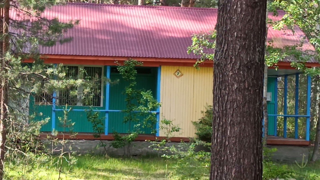 Обзор домика с удобствами🏡Цены  озеро ЯЛЬЧИК #пансионат#Яльчик#отпуск#лес#природа#озеро#лето