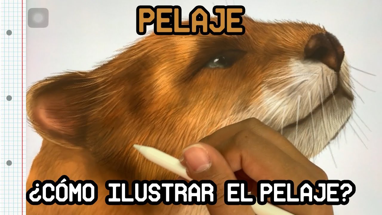 🐻 ¿Cómo dibujar pelaje en formato digital? - Consejos de ilustración científica