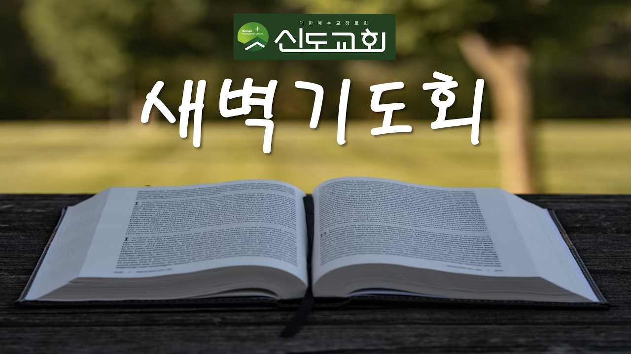 26.02.16 (월) 새벽기도/정현철 담임목사