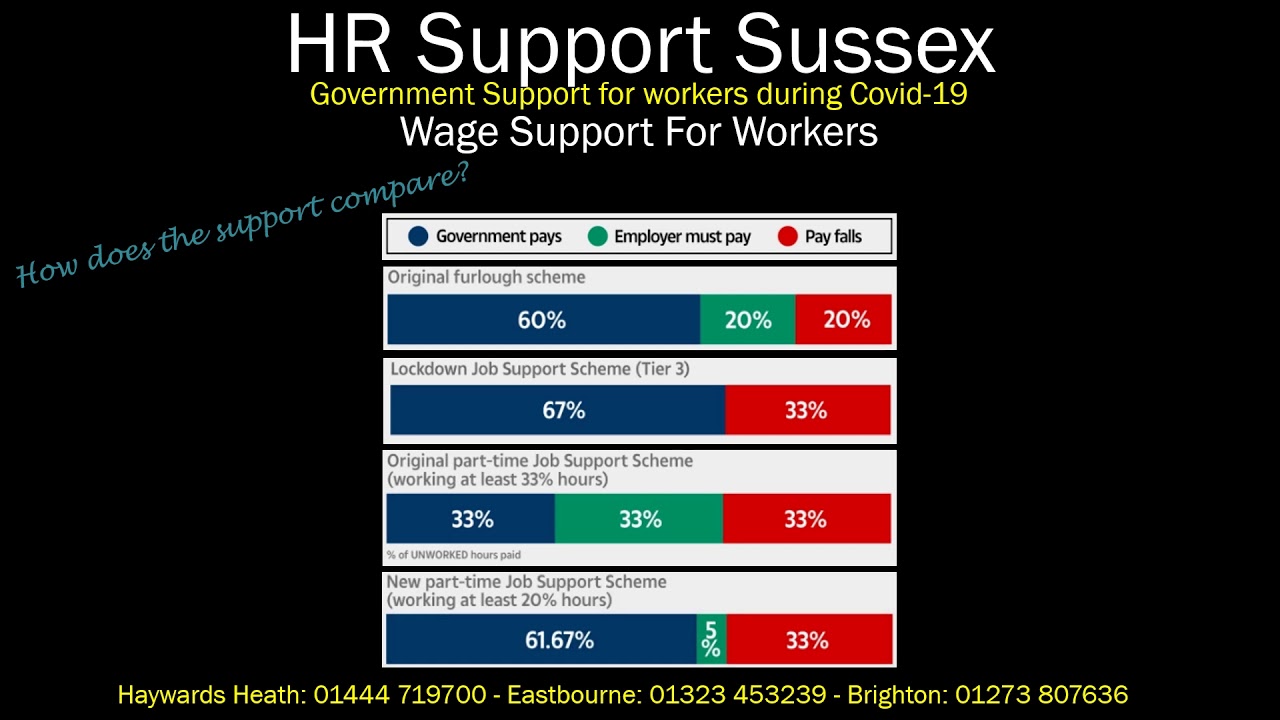 Government Job Support Scheme - help video