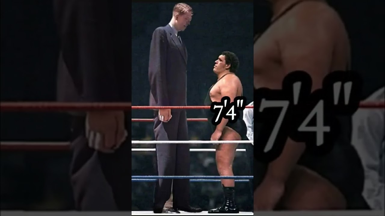 ANDRE THE GIANT AND ROBERT WADLOW FACE TO FACE 