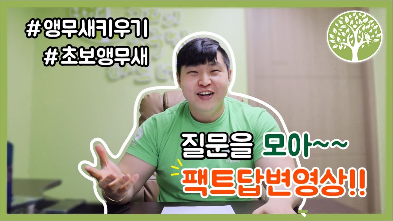 [Q&A] 앵무새키우기 초보앵무새 질문을 모아~~~팩트답변영상!!