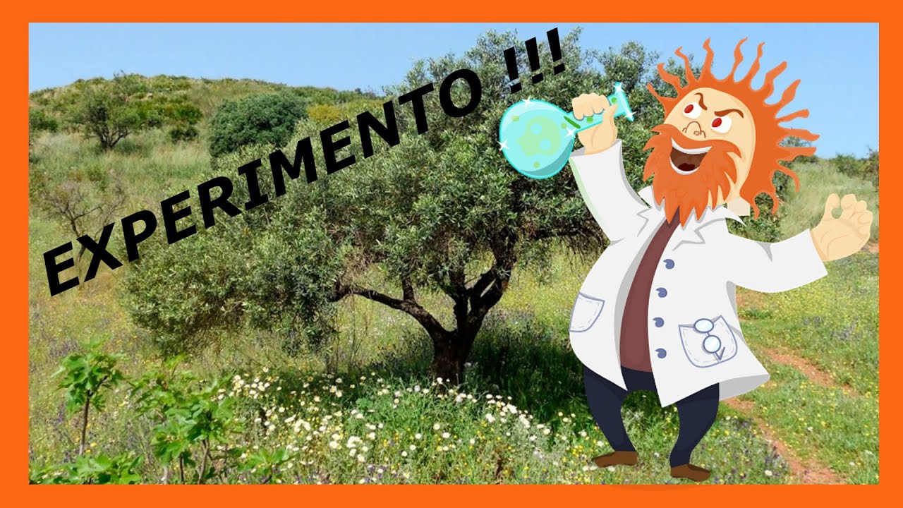 Experimento con ULLASTRE 🥼☠🌳👌🏻