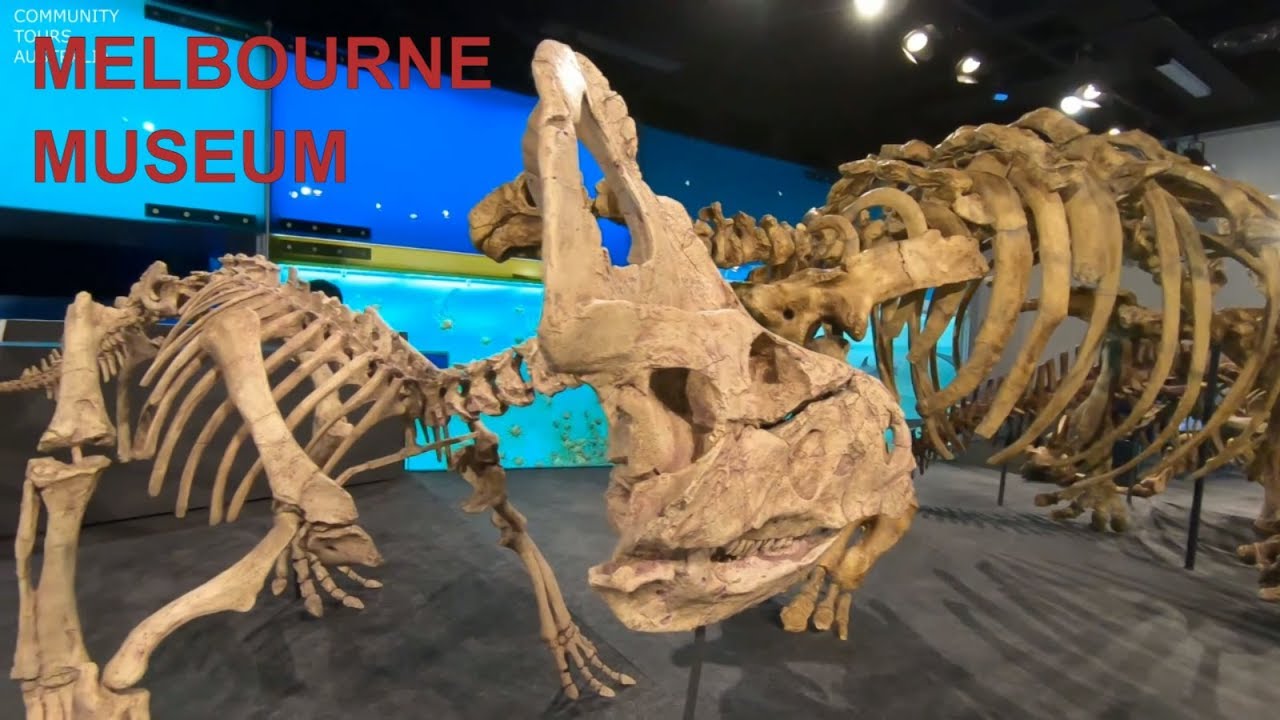 MELBOURNE MUSEUM - Visit Dinosaurs in Australia