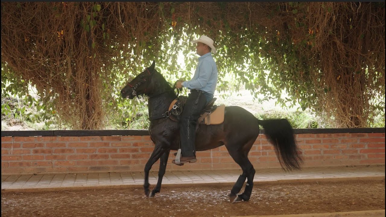 La Caballada | Hacienda El Portico