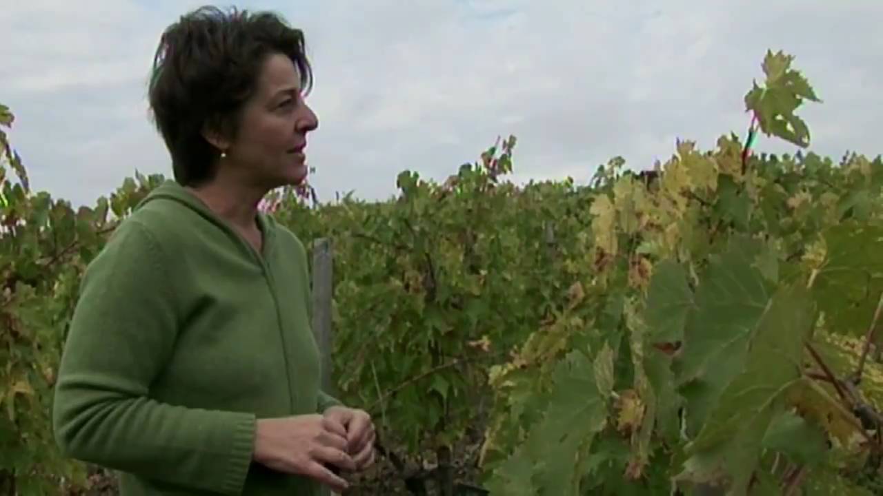I vini naturali di Giovanna Morganti