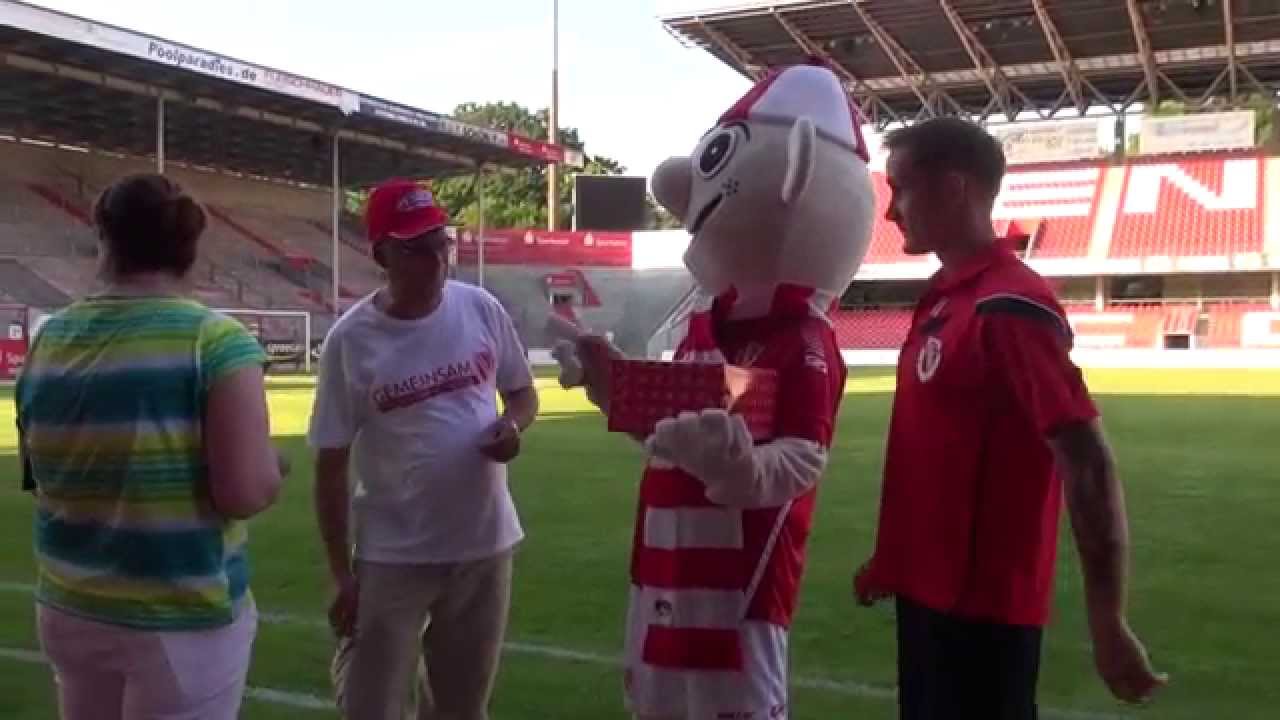 Der Kiebitztag in Bildern