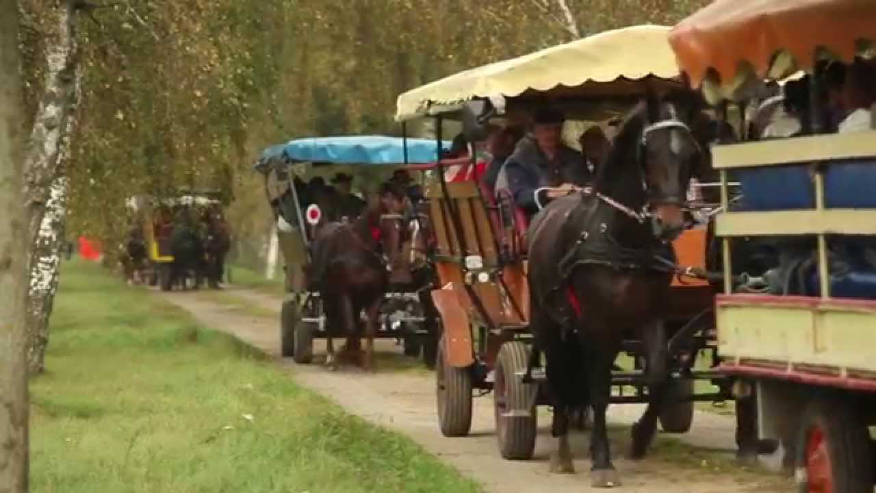 Hubertusjagd im Haupt  und Landgestüt Neustadt Dosse 2014