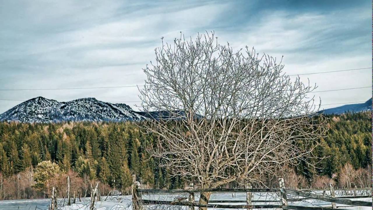 Челябинск in Time Lapse 2. Winter Ver.