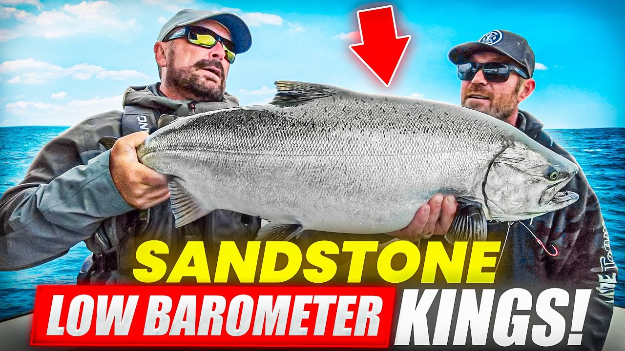SANDSTONE LOW BAROMETER KINGS!