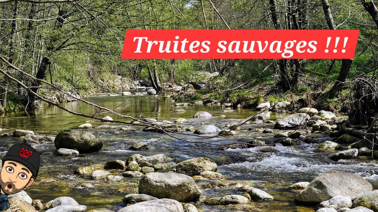 Les bijoux de l'Ardèche