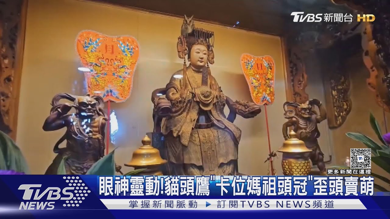 牠怎進去的?貓頭鷹「卡位媽祖頭冠」歪頭賣萌　網笑:霍格華茲來的｜TVBS新聞 @TVBSNEWS01