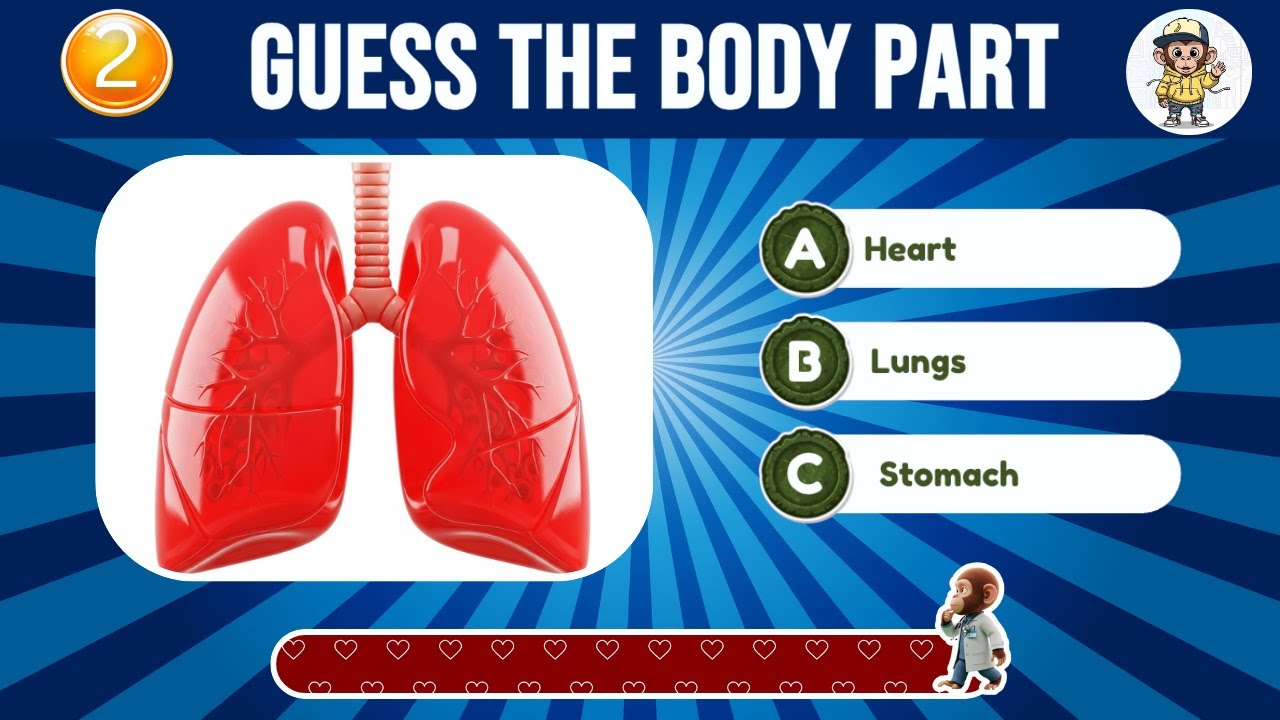 Guess the Body Part Challenge 🔍 | Fun + Facts | QuizMonkey Telugu