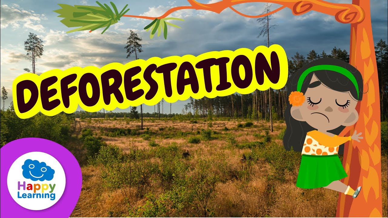 DEFORESTATION | Ways to Take Care of the Environment | Happy Learning ♻️🌴🐒