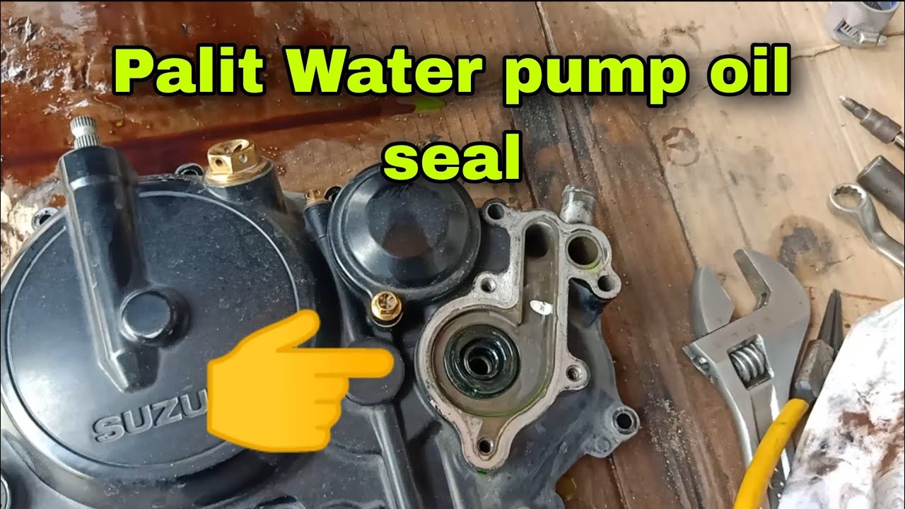 Palit Water pump oil seal Raider 150 Fi