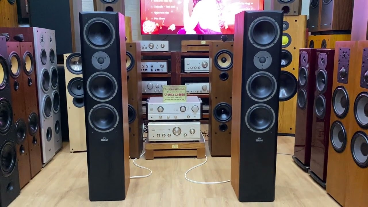 Siêu phẩm loa đức  magnat chân dài dáng vóc như dòng loa hi end, nghe nhạc hay bày đẹp giá bình dân.
