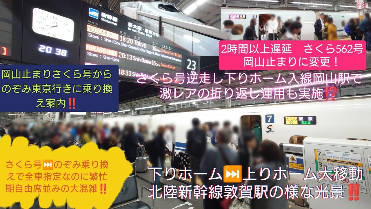 【2025年GW山陽新幹線人身事故・史上初の岡山駅で折り返し運転⁉️】さくら562号岡山止に変更され下り列車運用のため下りホーム逆走入線‼️その後のぞみ50号乗り換えが誘導で全号車超満杯にさせて発車