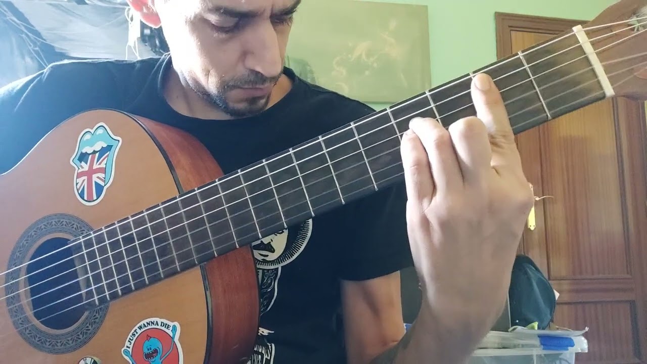la cancion mas hermosa de mundo, Sabina cover guitarra
