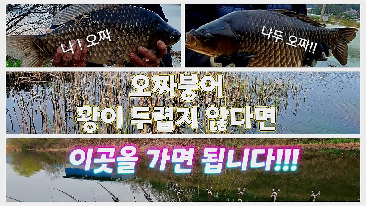 오짜붕어? 꽝이 두렵지 않다면 하.빈.지!! 이곳을 가시면 됩니다!!