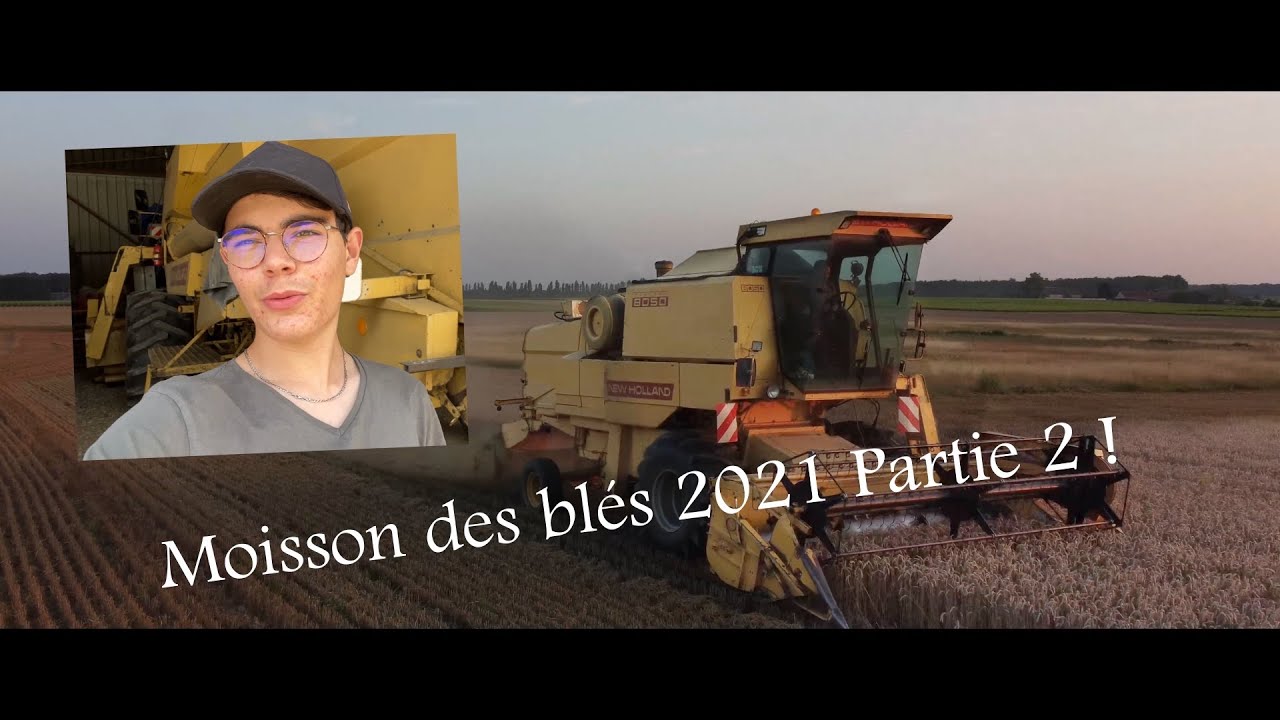 Partie 2, Moisson des blés 2021 ! New Holland Clayson 8050