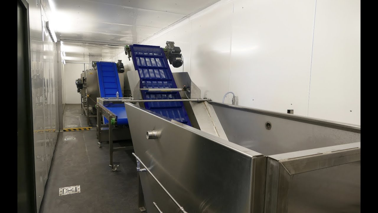 Seaweed Processing Plant 🌱