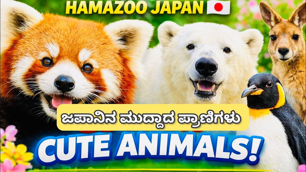 Hama zoo Japan| ಮಕ್ಕಳು ಹಾಗು ಕುಟುಂಬ ಸ್ನೇಹಪೂರ್ಣ ಸ್ಥಳ| Where animals, people and nature connects…